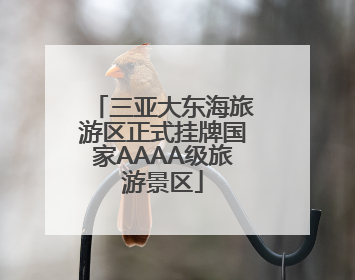 三亚大东海旅游区正式挂牌国家AAAA级旅游景区