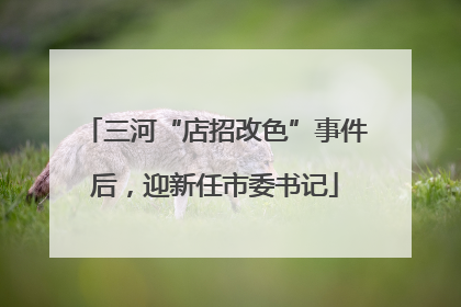 三河“店招改色”事件后，迎新任市委书记