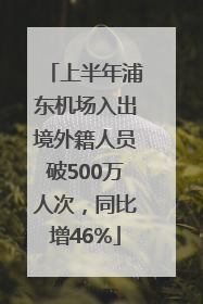 上半年浦东机场入出境外籍人员破500万人次，同比增46%
