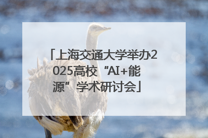 上海交通大学举办2025高校“AI+能源”学术研讨会