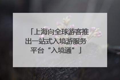 上海向全球游客推出一站式入境游服务平台“入境通”