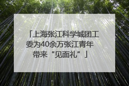 上海张江科学城团工委为40余万张江青年带来“见面礼”