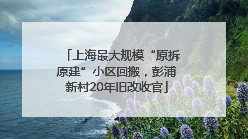 上海最大规模“原拆原建”小区回搬，彭浦新村20年旧改收官