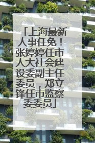 上海最新人事任免！张婷婷任市人大社会建设委副主任委员，郑立锋任市监察委委员