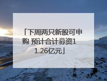 下周两只新股可申购 预计合计募资11.26亿元