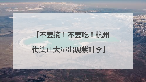 不要摘！不要吃！杭州街头正大量出现紫叶李