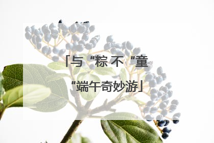 与“粽 不“童“端午奇妙游