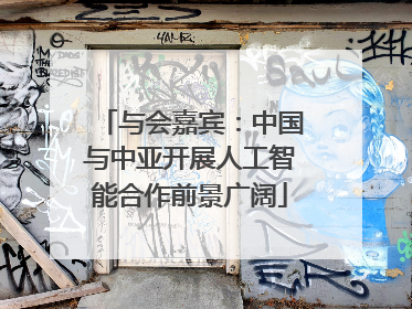 与会嘉宾：中国与中亚开展人工智能合作前景广阔