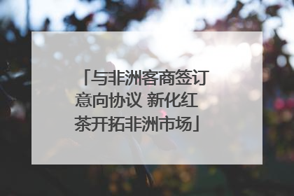 与非洲客商签订意向协议 新化红茶开拓非洲市场