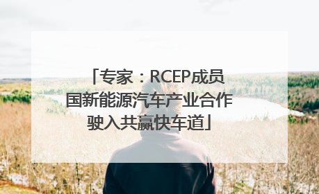 专家：RCEP成员国新能源汽车产业合作驶入共赢快车道