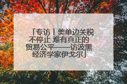 专访丨美单边关税不停止 难有真正的贸易公平——访波黑经济学家伊戈尔