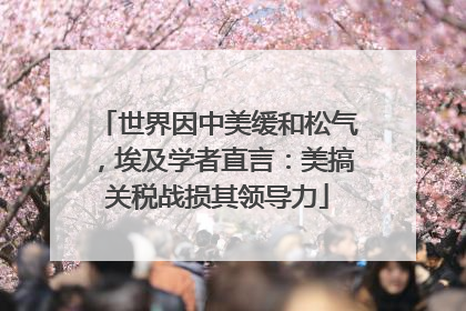 世界因中美缓和松气，埃及学者直言：美搞关税战损其领导力