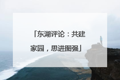 东湖评论：共建家园，思进图强