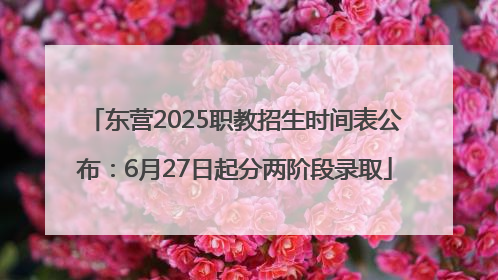 东营2025职教招生时间表公布：6月27日起分两阶段录取