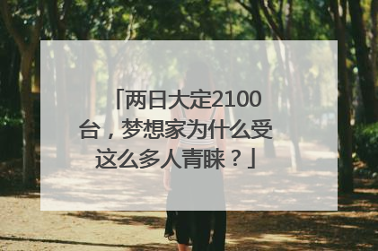 两日大定2100台，梦想家为什么受这么多人青睐？