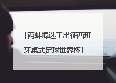 两蚌埠选手出征西班牙桌式足球世界杯