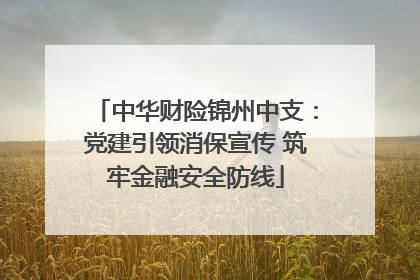 中华财险锦州中支：党建引领消保宣传 筑牢金融安全防线
