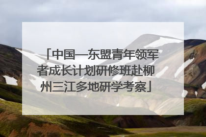 中国—东盟青年领军者成长计划研修班赴柳州三江多地研学考察