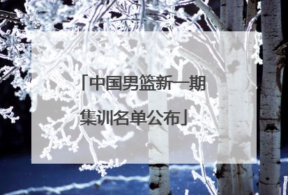 中国男篮新一期集训名单公布