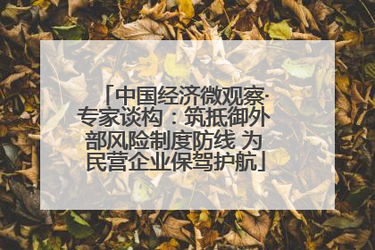 中国经济微观察·专家谈构：筑抵御外部风险制度防线 为民营企业保驾护航