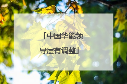中国华能领导层有调整