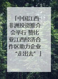 中国江西-非洲投资推介会举行 赞比亚江西经济合作区助力企业“走出去”