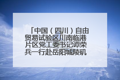 中国（四川）自由贸易试验区川南临港片区党工委书记谭荣兵一行赴岳阳城陵矶综保区考察
