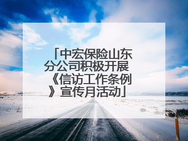 中宏保险山东分公司积极开展《信访工作条例》宣传月活动