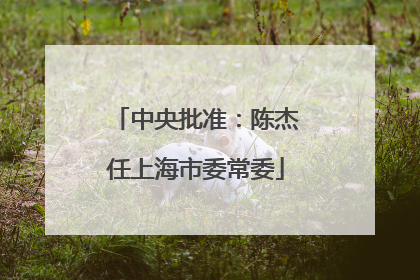 中央批准：陈杰任上海市委常委