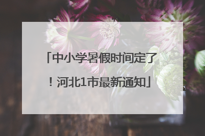 中小学暑假时间定了！河北1市最新通知