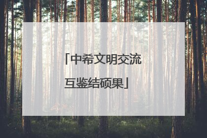 中希文明交流互鉴结硕果