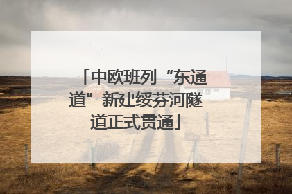 中欧班列“东通道”新建绥芬河隧道正式贯通