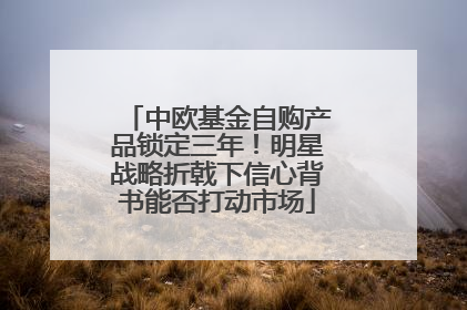 中欧基金自购产品锁定三年！明星战略折戟下信心背书能否打动市场