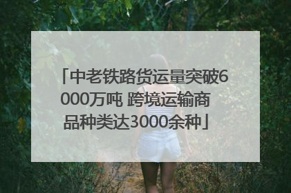 中老铁路货运量突破6000万吨 跨境运输商品种类达3000余种