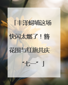 丰泽蟳埔这场快闪太燃了！簪花围与红旗共庆“七一”