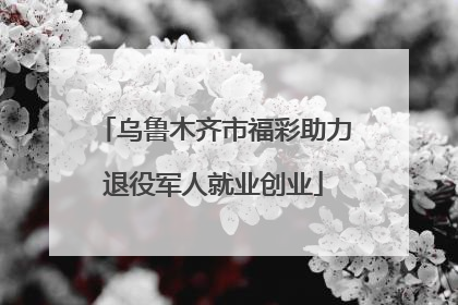 乌鲁木齐市福彩助力退役军人就业创业