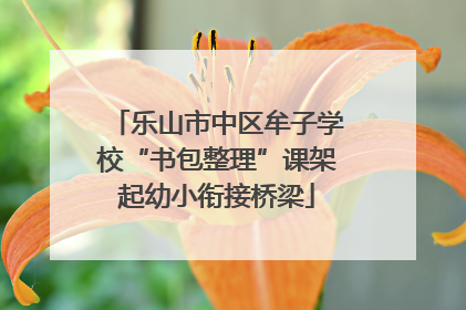 乐山市中区牟子学校“书包整理”课架起幼小衔接桥梁