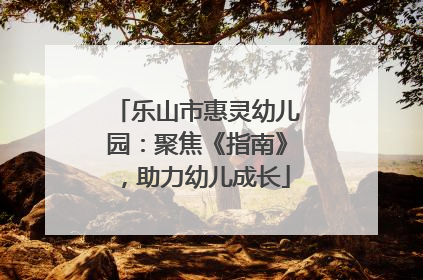 乐山市惠灵幼儿园：聚焦《指南》，助力幼儿成长