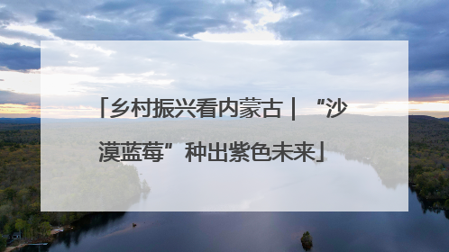 乡村振兴看内蒙古｜“沙漠蓝莓”种出紫色未来