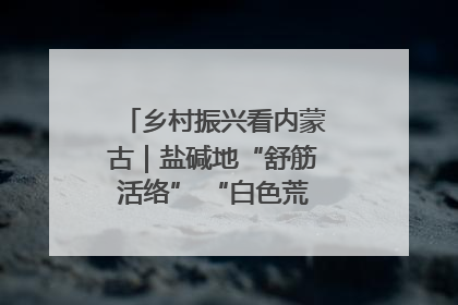 乡村振兴看内蒙古｜盐碱地“舒筋活络” “白色荒漠”长出吨粮田