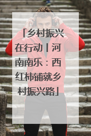 乡村振兴在行动丨河南南乐：西红柿铺就乡村振兴路
