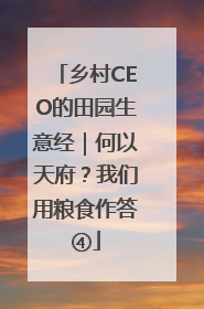 乡村CEO的田园生意经｜何以天府？我们用粮食作答④