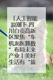 人工智能浪潮下 四川自贡高新区聚焦“车机龙医算数”布局未来产业丨美好生活有“盐”味