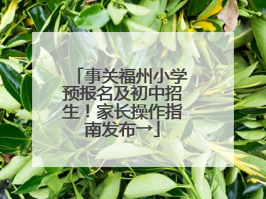 事关福州小学预报名及初中招生！家长操作指南发布→