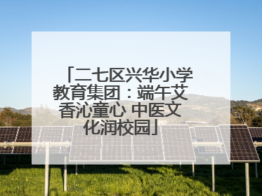 二七区兴华小学教育集团：端午艾香沁童心 中医文化润校园