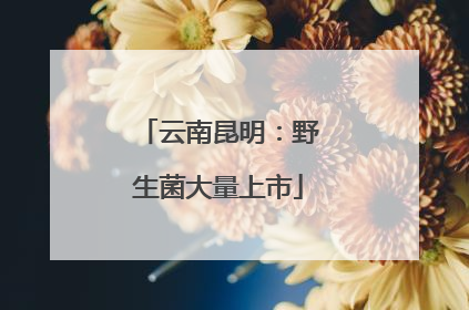 云南昆明：野生菌大量上市