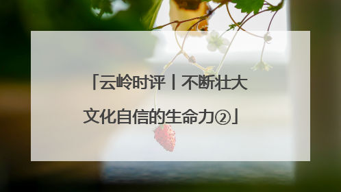 云岭时评丨不断壮大文化自信的生命力②