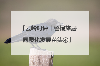 云岭时评丨警惕旅居同质化发展苗头④