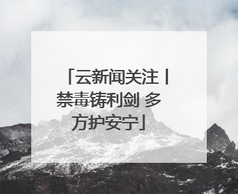 云新闻关注丨禁毒铸利剑 多方护安宁