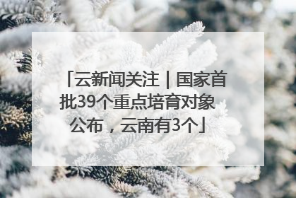 云新闻关注｜国家首批39个重点培育对象公布，云南有3个